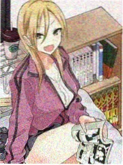 河内之恋